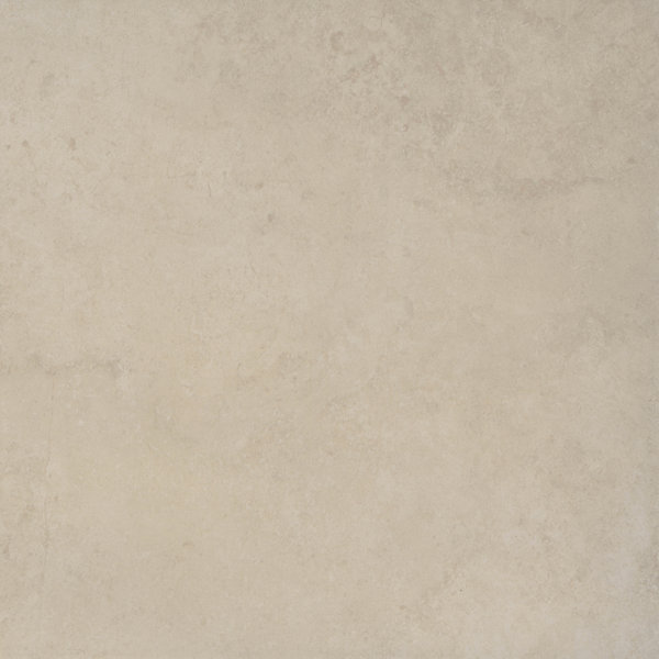 Emser Tile Baja 18" x 18" Ceramic Field Tile in Rosarito Wayfair